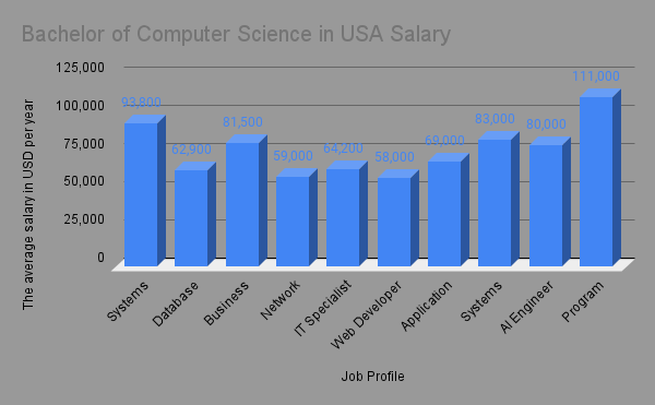 Bachelor of CS in USA Salary
