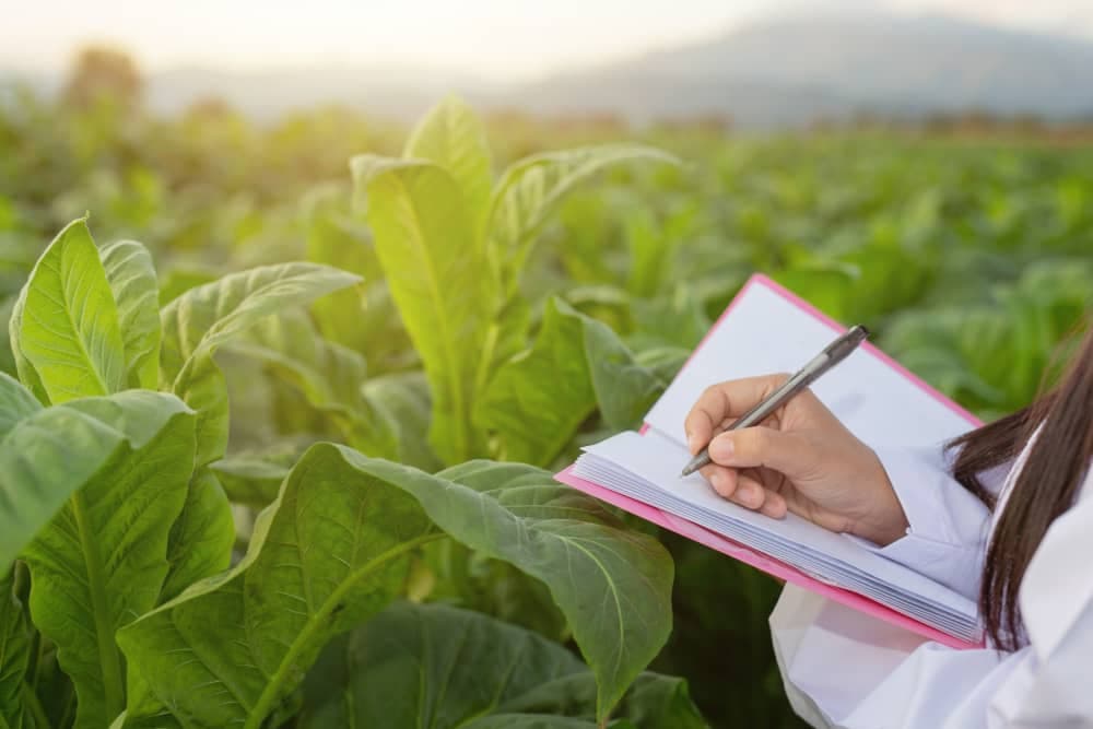 Agriculture Courses in New Zealand for International Students
