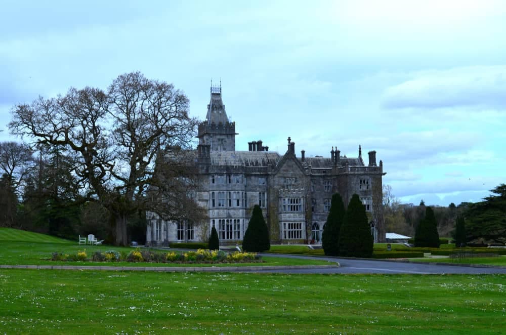 Best Universities in Ireland for MBA Programs