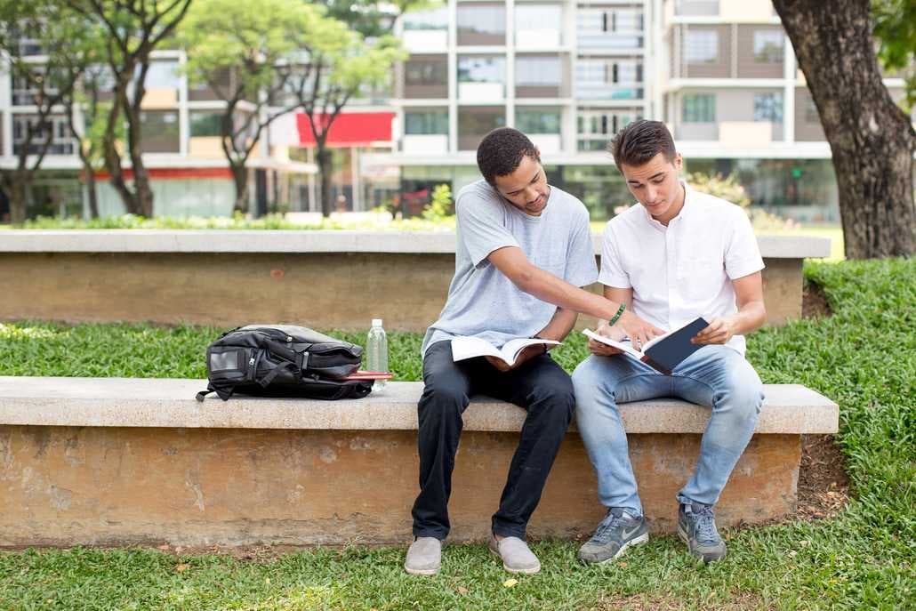 Ireland vs. Germany: Which is Better to Study Abroad for International Students?