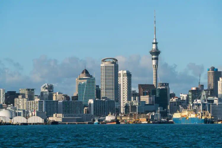 Study in New Zealand
