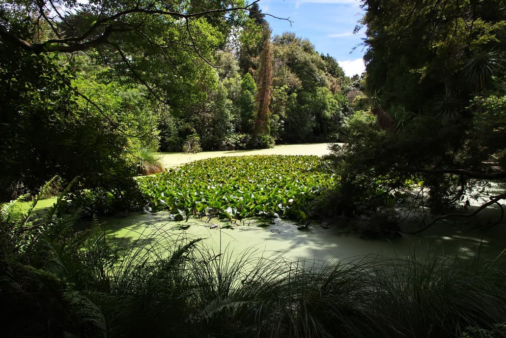 Christchurch: The Garden city